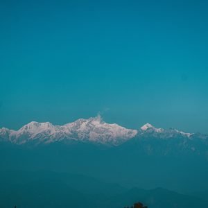 Darjeeling USP